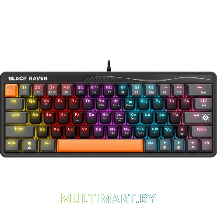 Клавиатура Defender Black Raven GK-417 (45414)